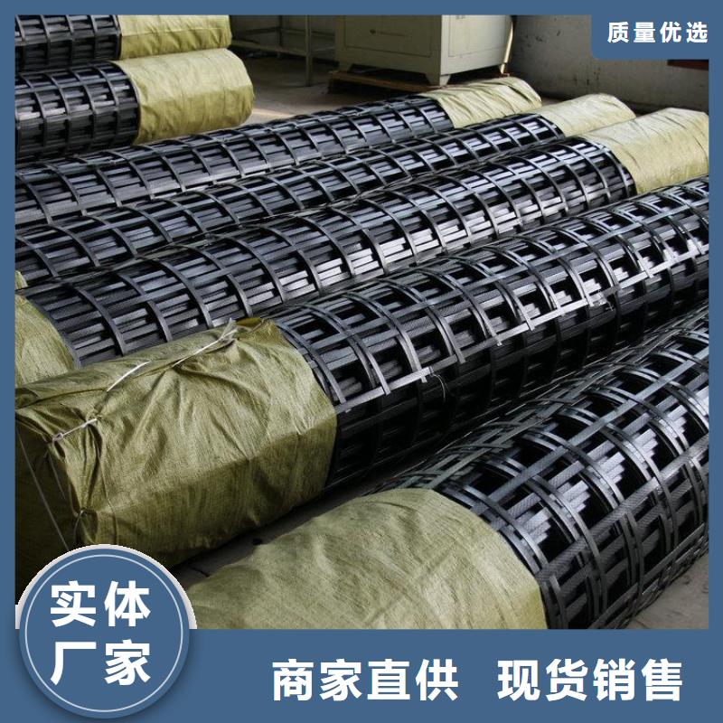 矿用钢塑复合假顶网双向塑料土工格栅源厂直接供货