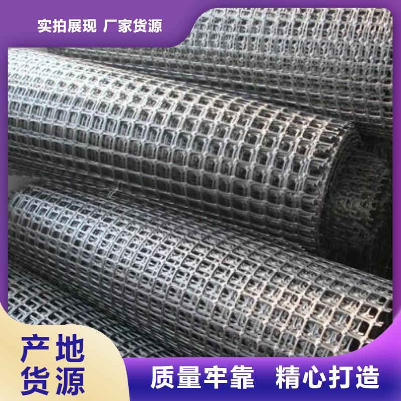 矿用钢塑复合假顶网双向塑料土工格栅源厂直接供货
