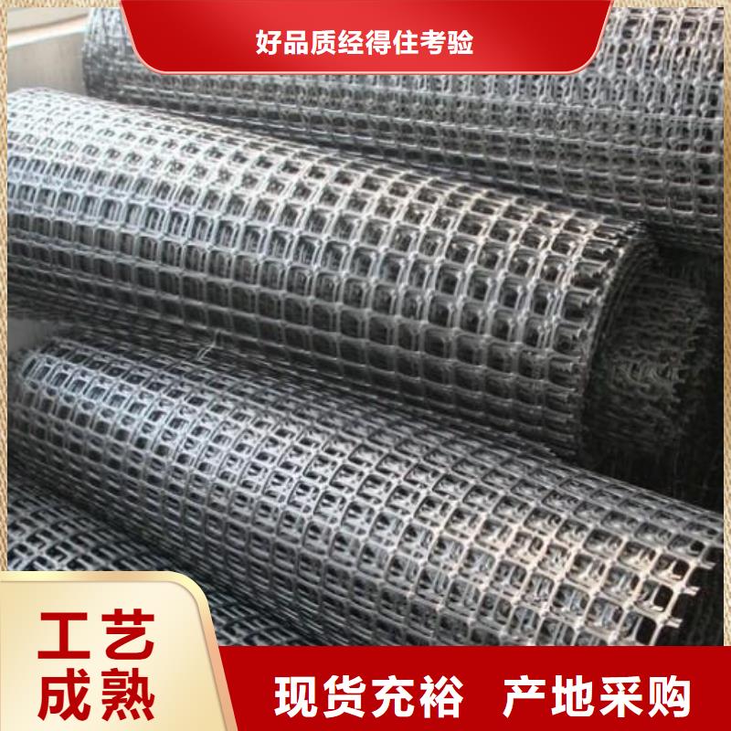 矿用钢塑复合假顶网双向塑料土工格栅源厂直接供货