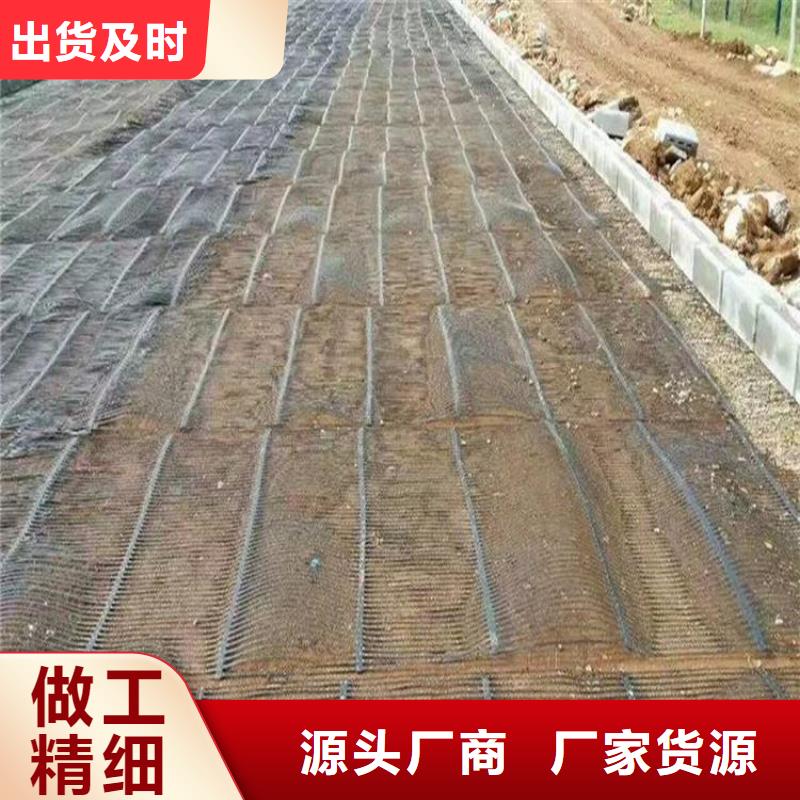 三维土工网垫视频-三维土工网垫|果洛市|黄南|西宁|玉树|海东|海南|海西|海北