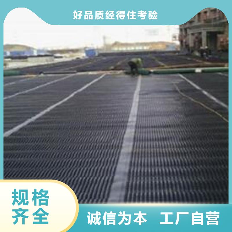三维土工网垫视频-内蒙古乌海市|呼和浩特|乌兰察布|鄂尔多斯|赤峰|包头|锡林郭勒三维土工网垫-恒丰