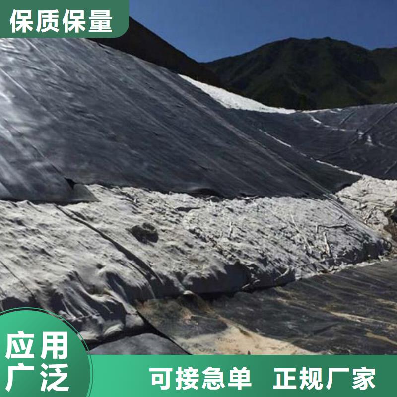 三维土工网垫视频-鄂州市三维土工网垫-周边可服务区域华容|梁子湖|随州|荆门|荆州|十堰