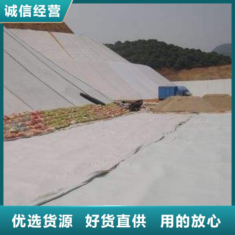 三维土工网垫视频-三维土工网垫(恒丰)覆盖地域广东省肇庆市封开|端州|韶关|潮州|茂名|佛山|河源|汕头|珠海