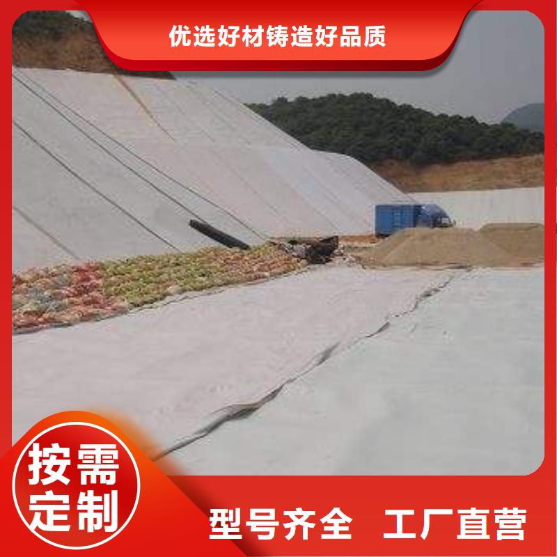 复合土工膜HDPE土工膜厂家型号齐全