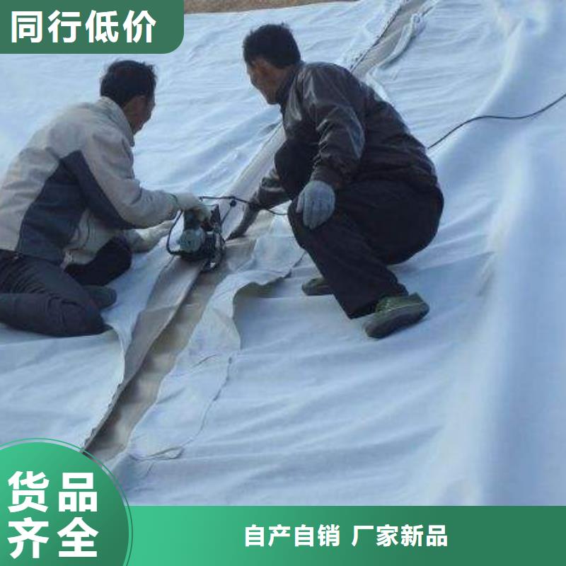 复合土工膜HDPE土工膜厂家型号齐全