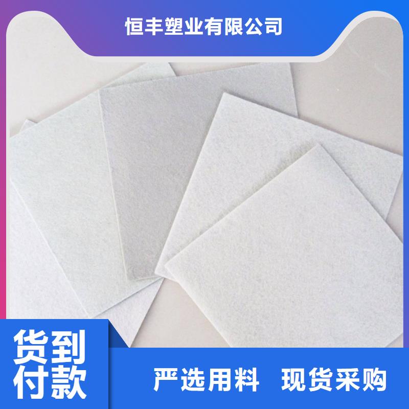 三维土工网垫视频-三维土工网垫(恒丰)覆盖地域广东省肇庆市封开|端州|韶关|潮州|茂名|佛山|河源|汕头|珠海
