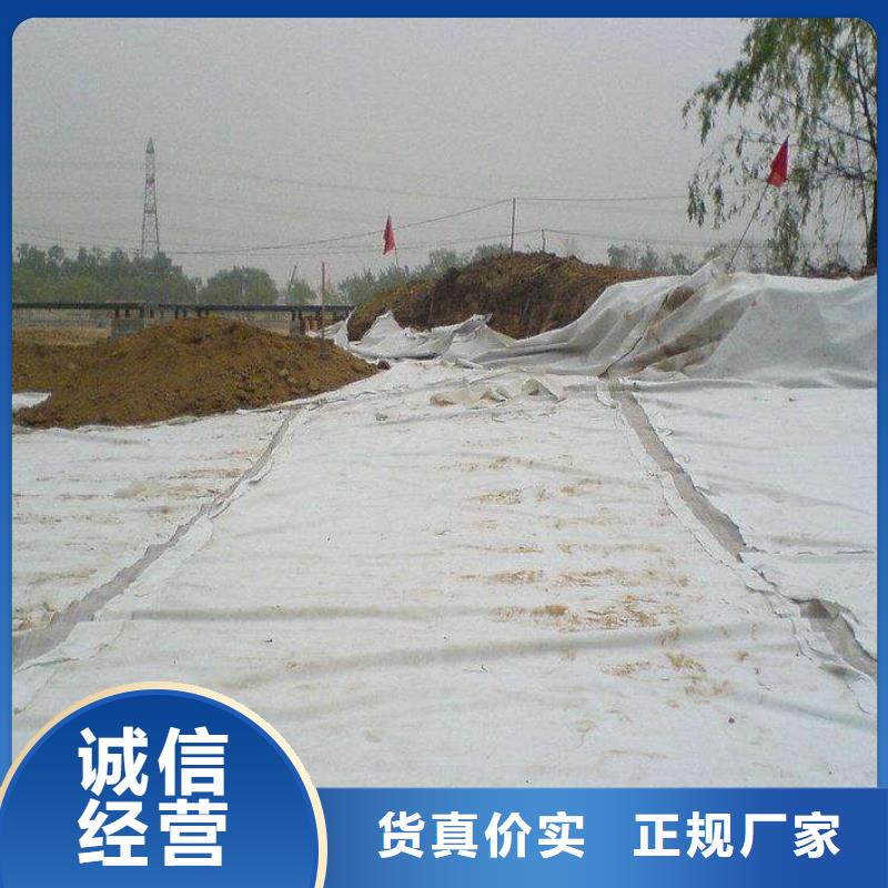 三维土工网垫视频-泰安市三维土工网垫-当地可服务区域宁阳|新泰|潍坊|临沂|威海|滨州|枣庄|日照