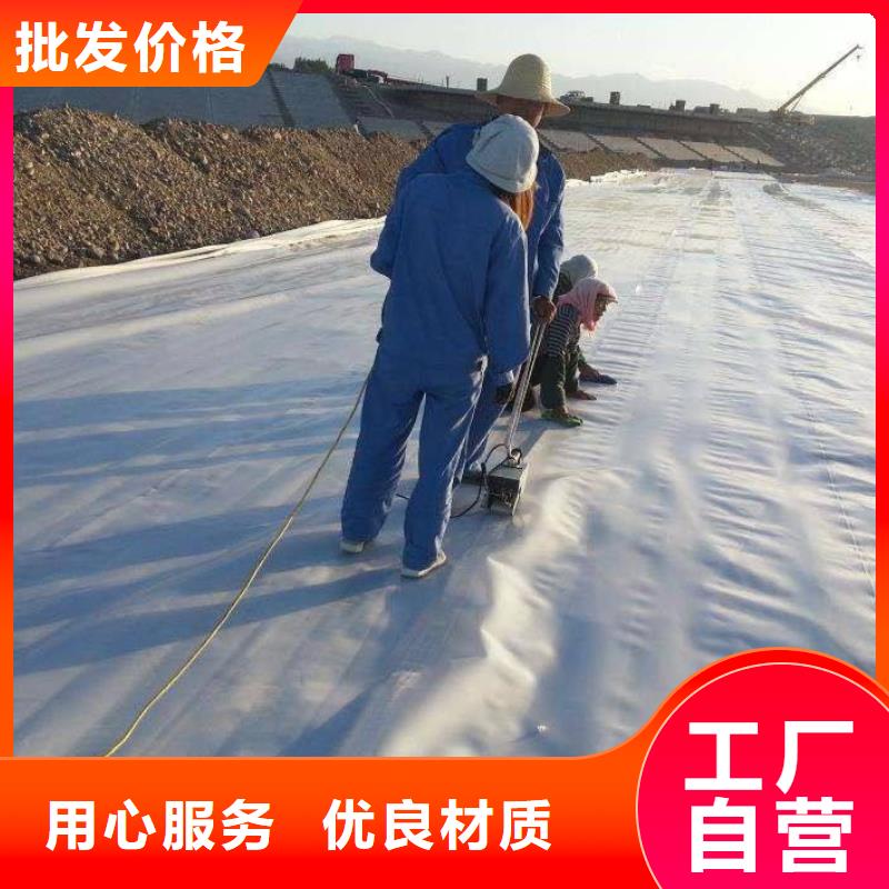 复合土工膜HDPE土工膜厂家型号齐全