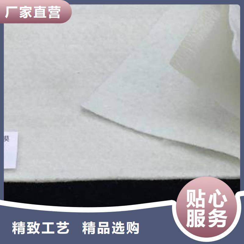 三维土工网垫视频-泰安市三维土工网垫-当地可服务区域宁阳|新泰|潍坊|临沂|威海|滨州|枣庄|日照