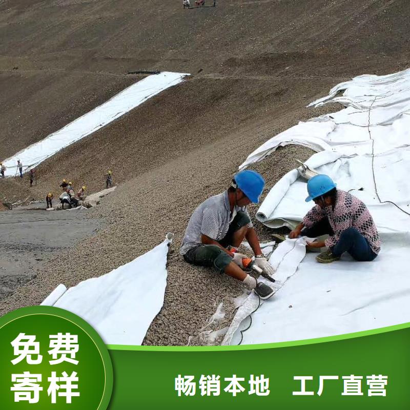 复合土工膜HDPE土工膜厂家型号齐全