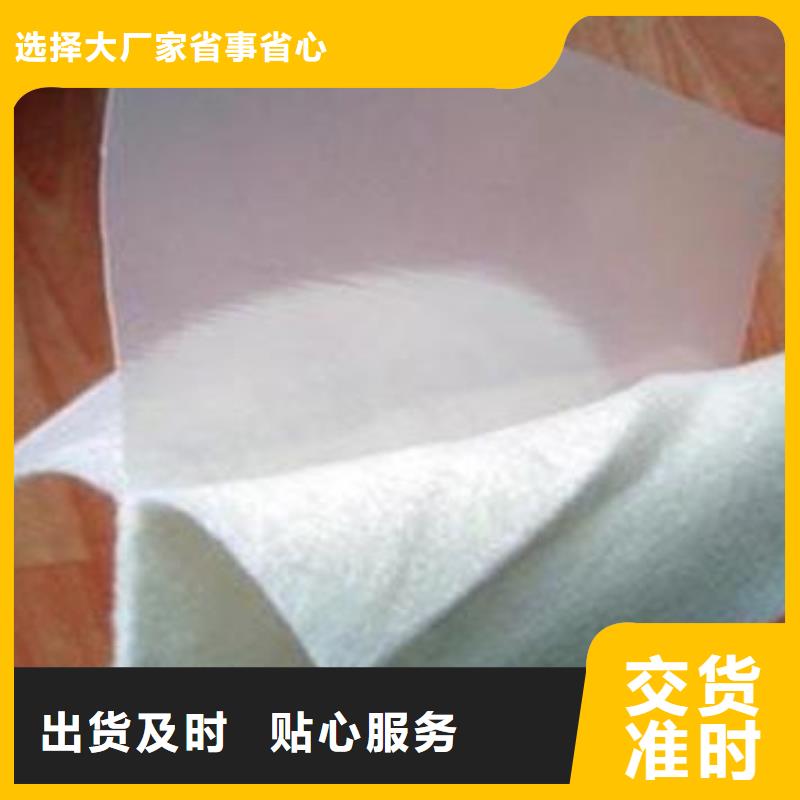 复合土工膜HDPE土工膜厂家型号齐全