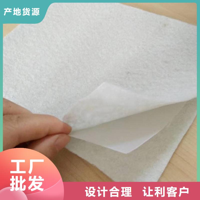 复合土工膜HDPE土工膜厂家型号齐全