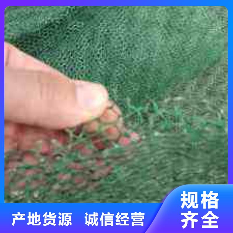 三维土工网垫视频-三维土工网垫|宜宾市|江安|翠屏|德阳|广元|巴中|广安|凉山|甘孜