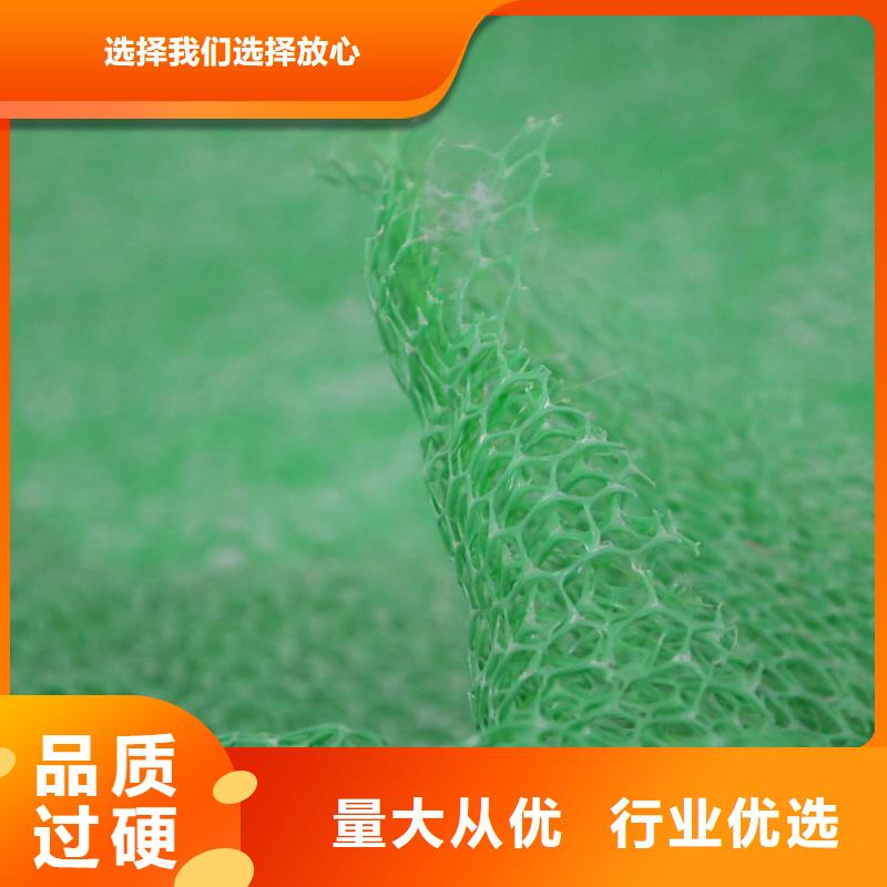 三维植被网-【三维土工网垫】批发价格