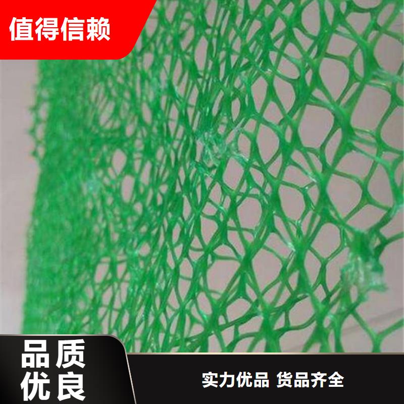 三维植被网-【三维土工网垫】批发价格