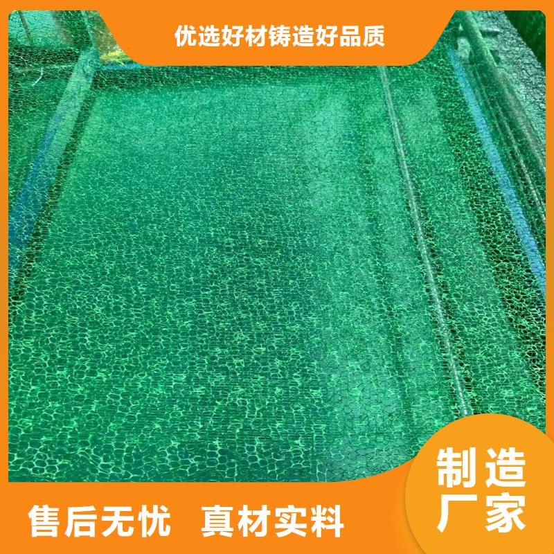 【三维植被网-PVC防水卷材放心选购】