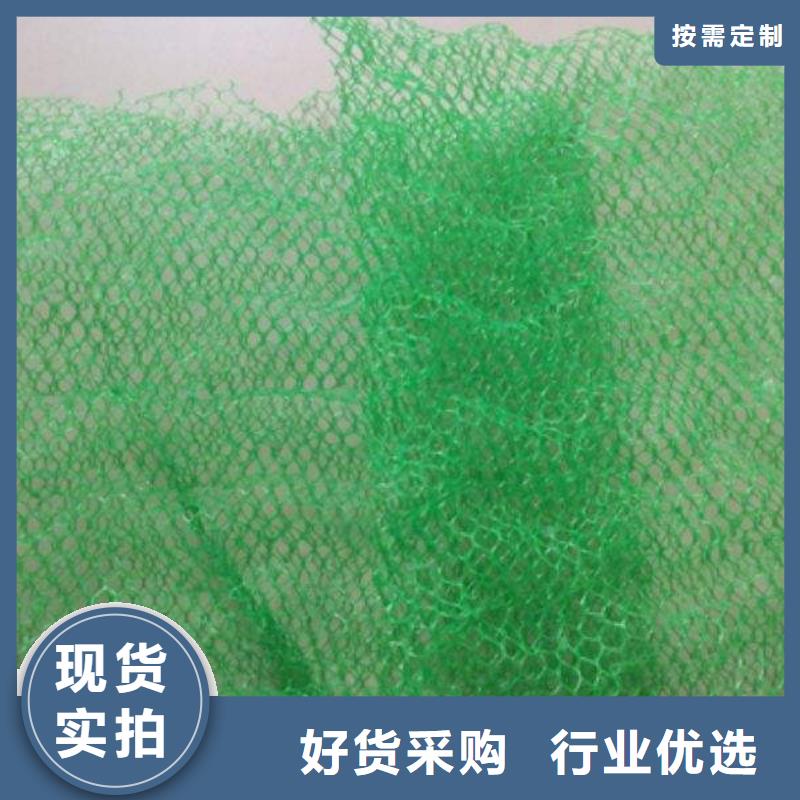 三维植被网-【三维土工网垫】批发价格
