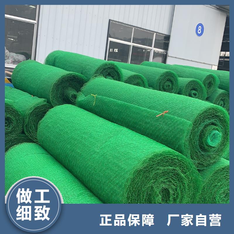 三维土工网垫视频-三维土工网垫|宜宾市|江安|翠屏|德阳|广元|巴中|广安|凉山|甘孜