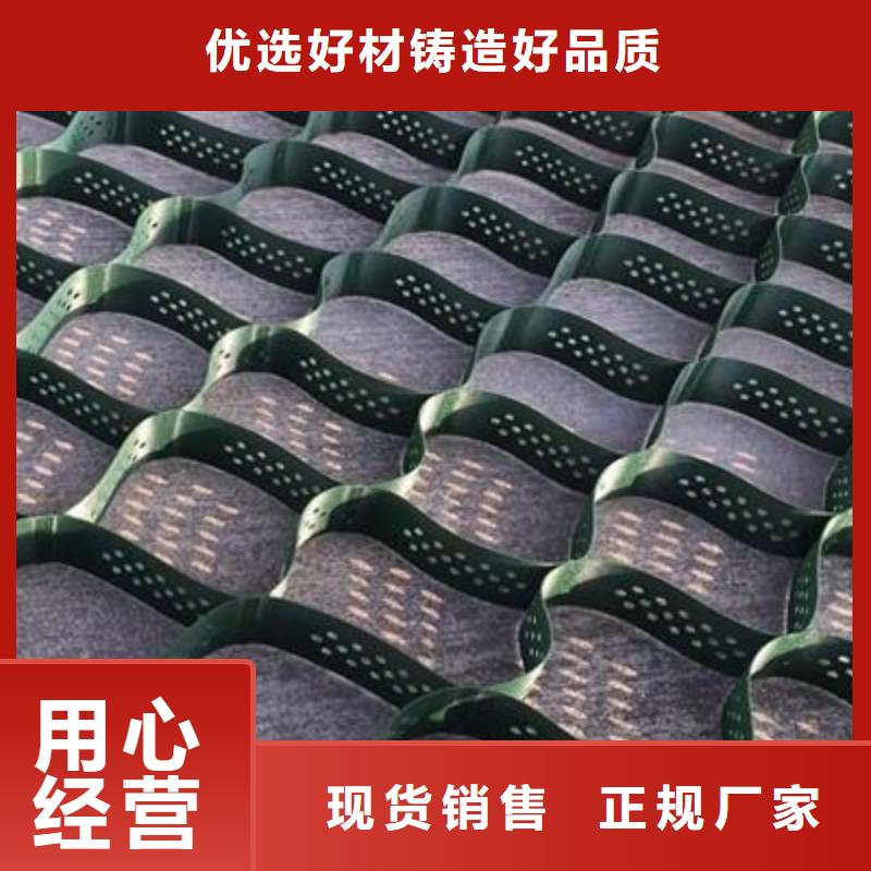 三维土工网垫视频-三维土工网垫|葫芦岛市|建昌|绥中|盘锦|阜新|沈阳|抚顺|大连