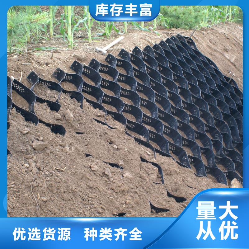三维土工网垫视频-三维土工网垫|来宾市|忻城|合山|梧州|钦州|桂林|南宁