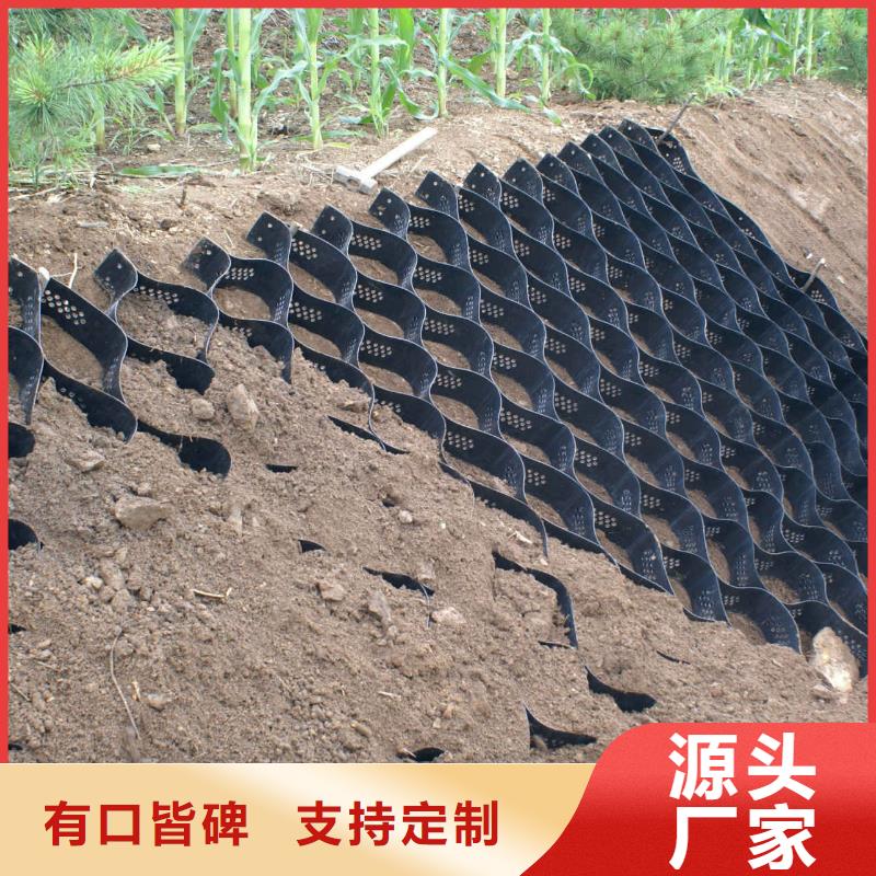 三维土工网垫视频-三维土工网垫|葫芦岛市|建昌|绥中|盘锦|阜新|沈阳|抚顺|大连