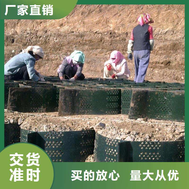 三维土工网垫视频-三维土工网垫|来宾市|忻城|合山|梧州|钦州|桂林|南宁