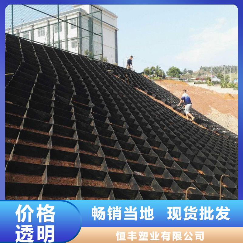 三维土工网垫视频-三维土工网垫|葫芦岛市|建昌|绥中|盘锦|阜新|沈阳|抚顺|大连