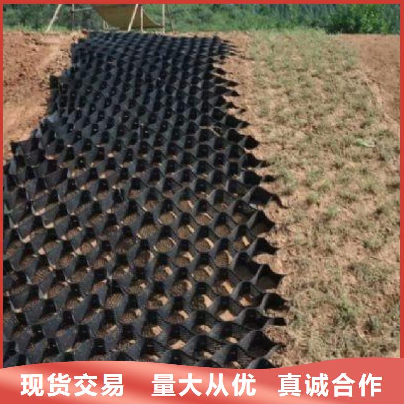 三维土工网垫视频-三维土工网垫|葫芦岛市|建昌|绥中|盘锦|阜新|沈阳|抚顺|大连