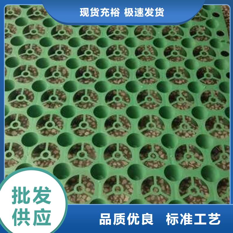 排水板护坡土工网货源报价