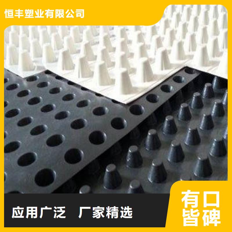 三维土工网垫视频-西藏昌都市恒丰三维土工网垫可服务区域左贡|边坝|那曲|阿里|山南|林芝|拉萨|日喀则等