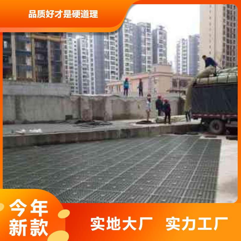 三维土工网垫视频-西藏昌都市恒丰三维土工网垫可服务区域左贡|边坝|那曲|阿里|山南|林芝|拉萨|日喀则等