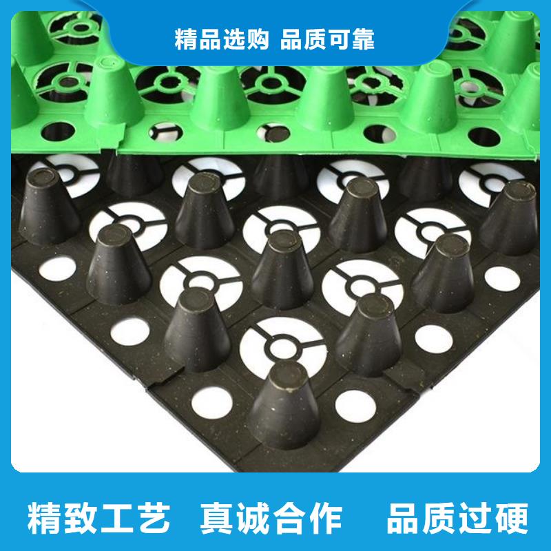三维土工网垫视频-西藏昌都市恒丰三维土工网垫可服务区域左贡|边坝|那曲|阿里|山南|林芝|拉萨|日喀则等