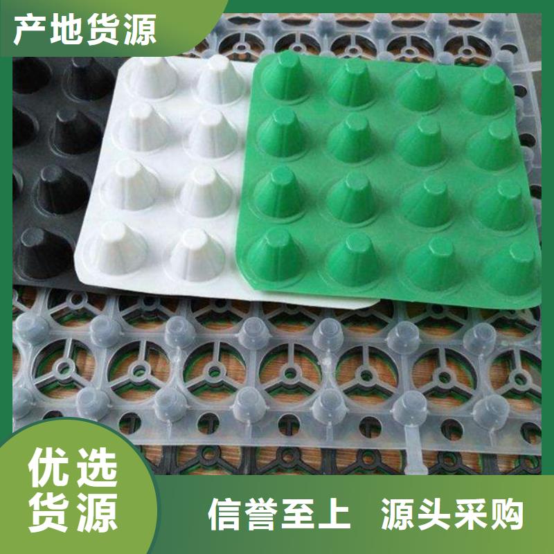 三维土工网垫视频-西藏昌都市恒丰三维土工网垫可服务区域左贡|边坝|那曲|阿里|山南|林芝|拉萨|日喀则等