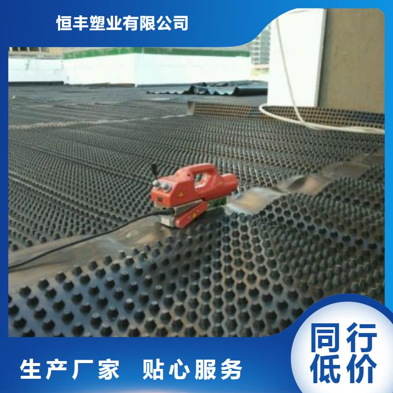 三维土工网垫视频-西藏昌都市恒丰三维土工网垫可服务区域左贡|边坝|那曲|阿里|山南|林芝|拉萨|日喀则等