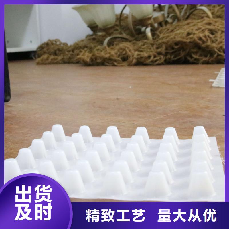 三维土工网垫视频-西藏昌都市恒丰三维土工网垫可服务区域左贡|边坝|那曲|阿里|山南|林芝|拉萨|日喀则等