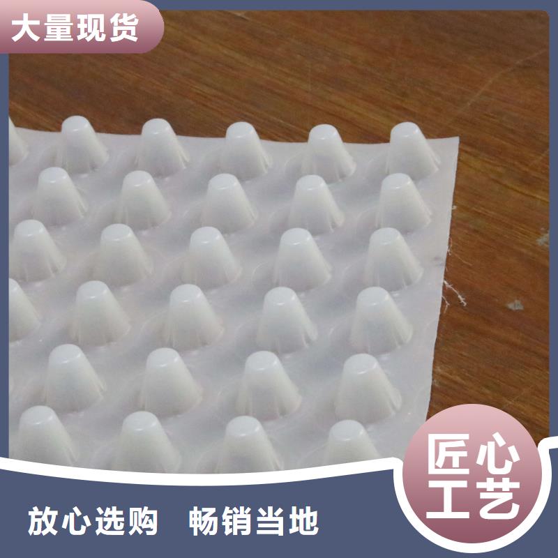 三维土工网垫视频-西藏昌都市恒丰三维土工网垫可服务区域左贡|边坝|那曲|阿里|山南|林芝|拉萨|日喀则等