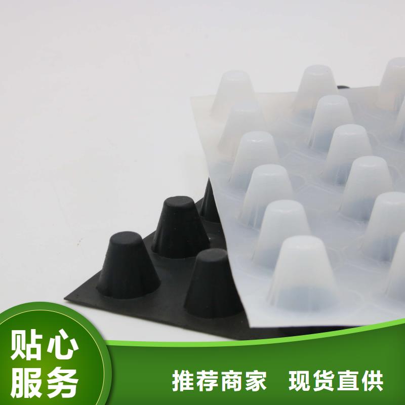 三维土工网垫视频-西藏昌都市恒丰三维土工网垫可服务区域左贡|边坝|那曲|阿里|山南|林芝|拉萨|日喀则等