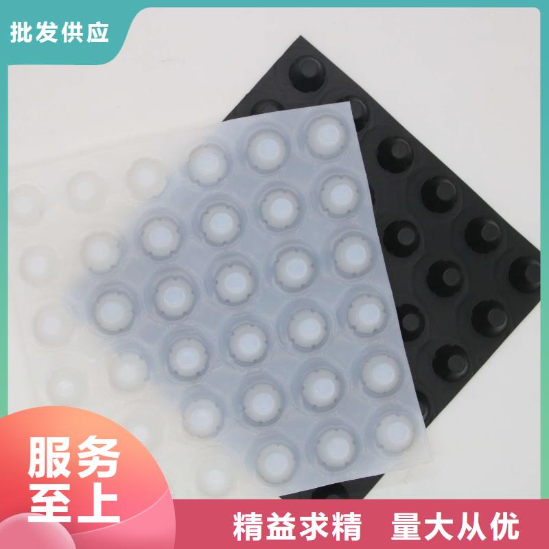 三维土工网垫视频-西藏昌都市恒丰三维土工网垫可服务区域左贡|边坝|那曲|阿里|山南|林芝|拉萨|日喀则等