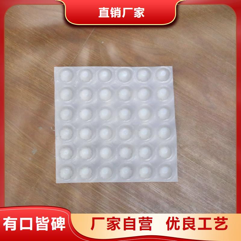 三维土工网垫视频-西藏昌都市恒丰三维土工网垫可服务区域左贡|边坝|那曲|阿里|山南|林芝|拉萨|日喀则等