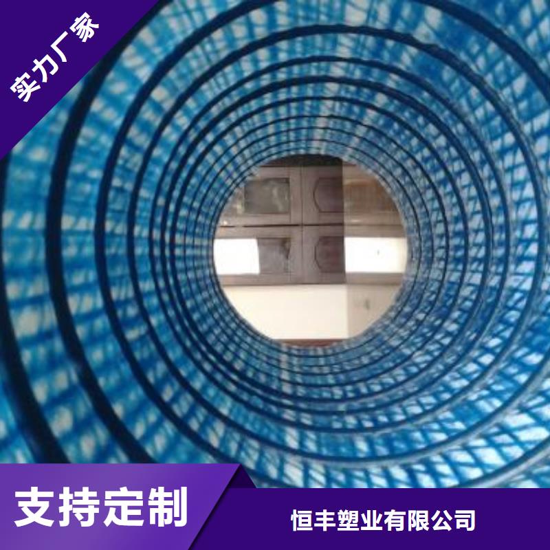 三维土工网垫视频-江苏省常州市|新北|天宁|无锡|淮安|连云港|泰州三维土工网垫-恒丰