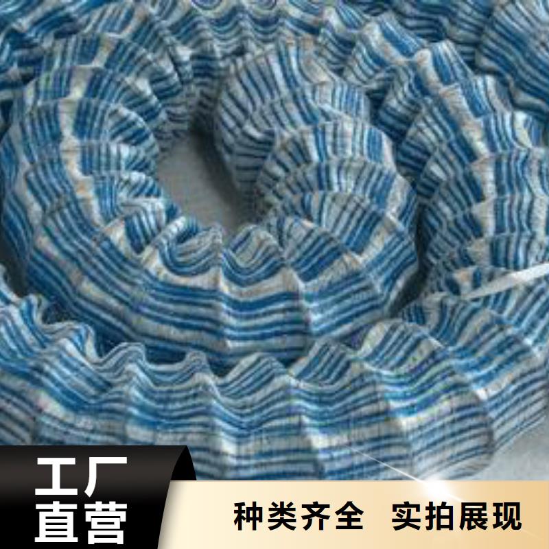 三维土工网垫视频-三维土工网垫-甘肃省金昌市此地货源-嘉峪关|平凉|庆阳|定西|酒泉|武威