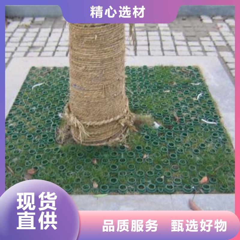 三维土工网垫视频-三维土工网垫_四川省资阳市市场覆盖乐至|安岳|内江|雅安|南充|攀枝花等