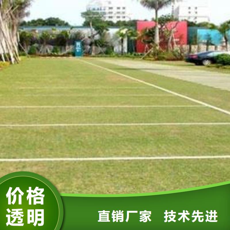 三维土工网垫视频-西藏三维土工网垫-(该地)可服务区域昌都|林芝|阿里|山南|拉萨|日喀则|那曲