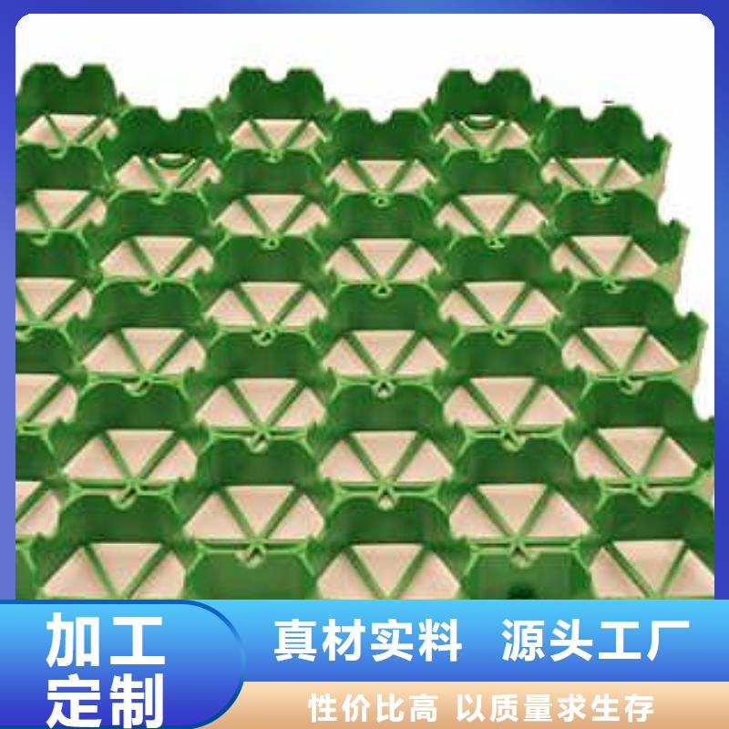 三维土工网垫视频-三维土工网垫_四川省资阳市市场覆盖乐至|安岳|内江|雅安|南充|攀枝花等