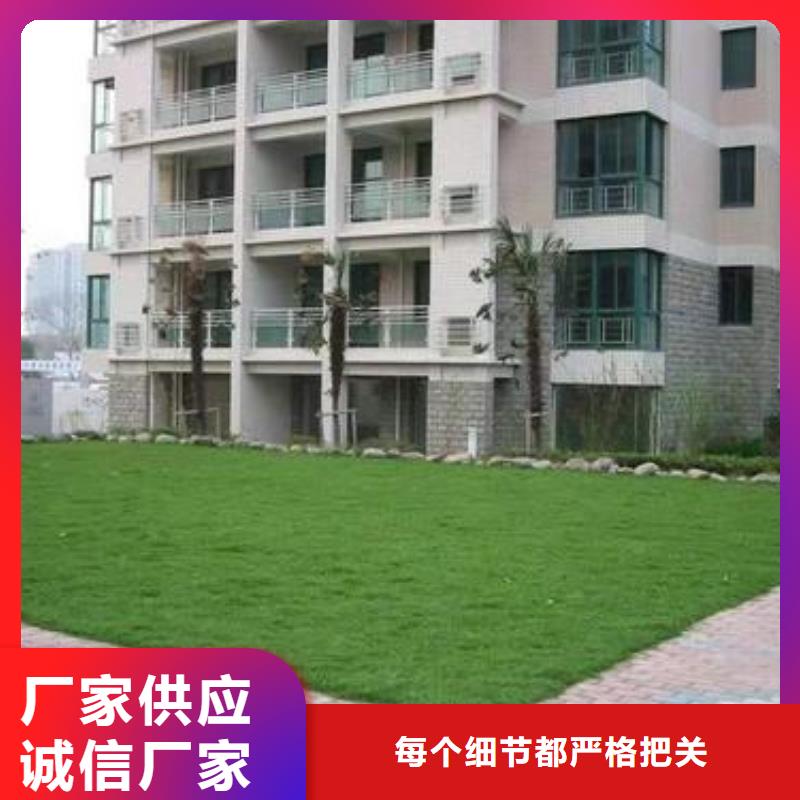 植草格_土工格室工厂直营