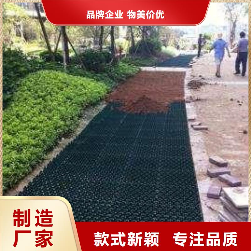 植草格HDPE黑色土工膜随到随提