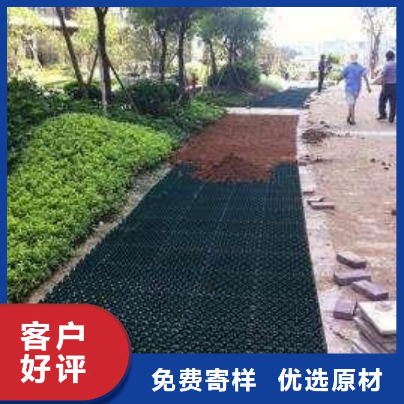 三维土工网垫视频-三维土工网垫_四川省资阳市市场覆盖乐至|安岳|内江|雅安|南充|攀枝花等