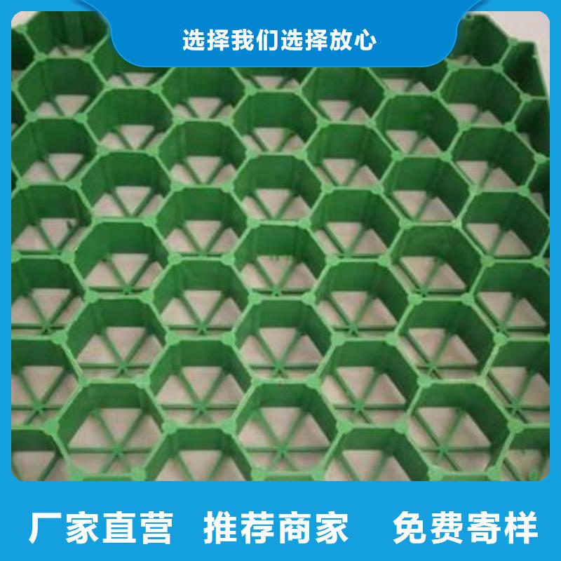 三维土工网垫视频-三维土工网垫_四川省资阳市市场覆盖乐至|安岳|内江|雅安|南充|攀枝花等