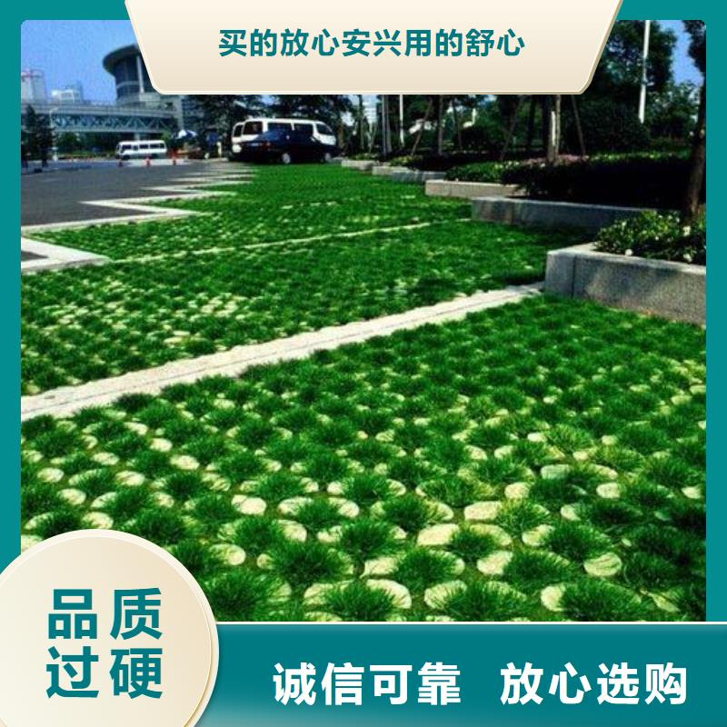 三维土工网垫视频-西藏三维土工网垫-(该地)可服务区域昌都|林芝|阿里|山南|拉萨|日喀则|那曲