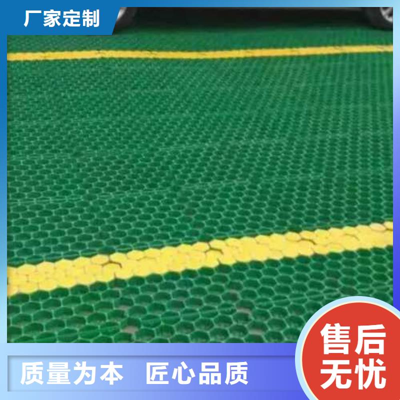 三维土工网垫视频-西藏三维土工网垫-(该地)可服务区域昌都|林芝|阿里|山南|拉萨|日喀则|那曲